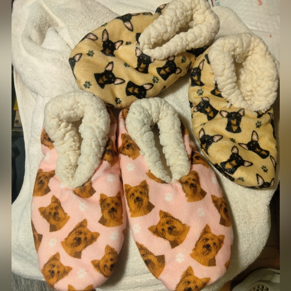 Comfies Slippers 2 pairs